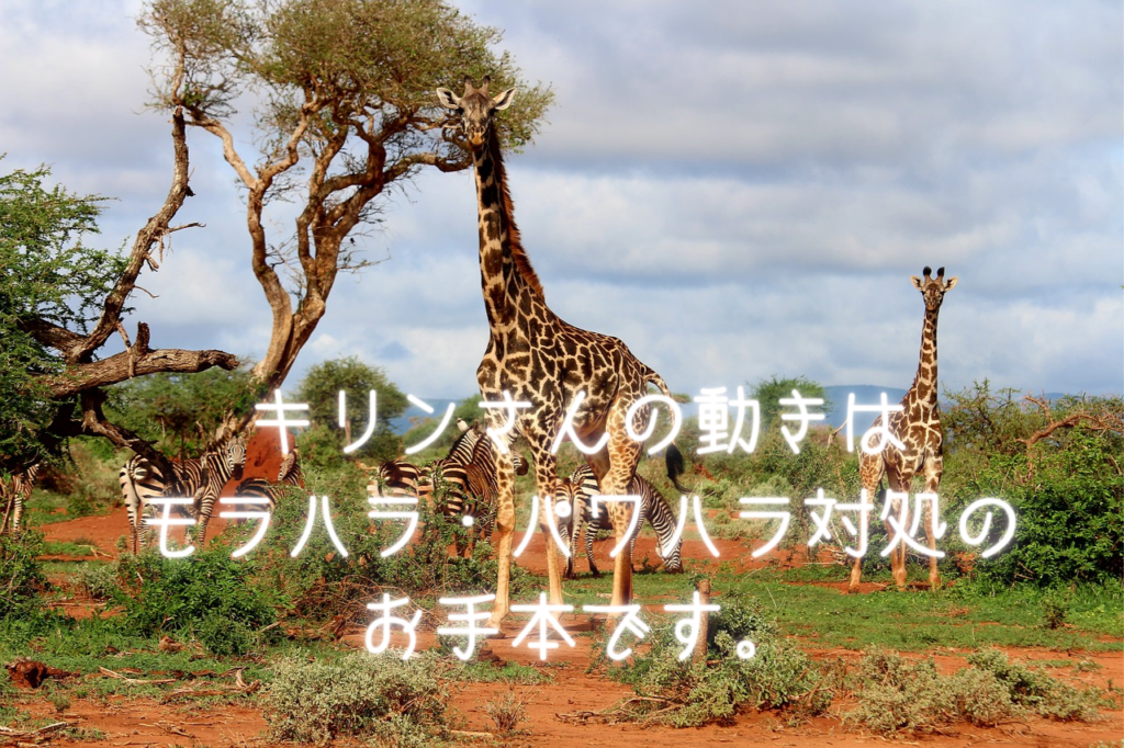 モラハラ、パワハラ対処のお手本はキリンさん!